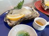 生でそのままいただく、大きい岩牡蠣「天然岩牡蠣あります😋  『村上市で子連れランチができるお店、夜はおしゃれ居酒屋デイズ』」