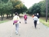 ノルディックウォーキングＩｎ弁天池公園（４ガツ）