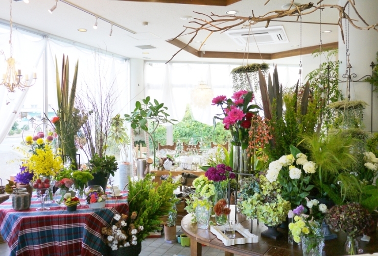 岩国 柳井 周防大島 和木 大竹 まいぷれ