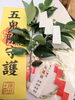家族と患者さんの健康と幸せを願って💗「2026年後半戦になりました🌿」