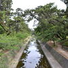 夙川公園　～2015　新緑～