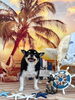 ナナちゃん「サンセットビーチ🏖️」