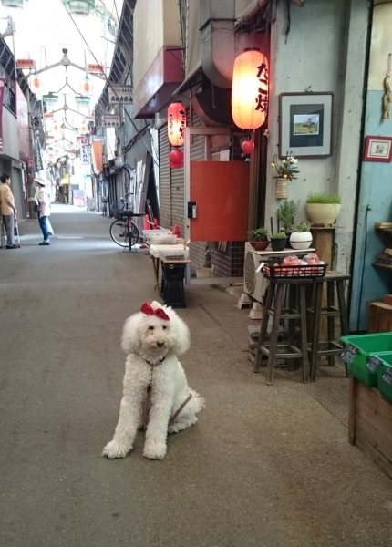 毎日リボン変えてるんだけど、わかってくれてるかなー