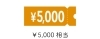 5,000円クーポン