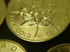1/2ozなので15.5グラムですね。「メイプルリーフ金貨が20枚も(^^♪　買取専門 金のクマ 沼津店」