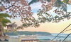 今朝の小樽と豪華客船「Good morning Otaru! ◎ 小樽の古民家ゲストハウスより」