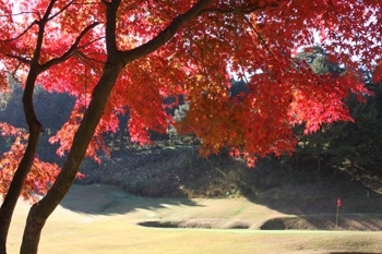 秋には鮮やかな紅葉に囲まれながらのラウンドを楽しめます。「魚津国際カントリークラブ」