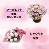 「【母の日特集】それぞれの花に込められた花言葉をご紹介します」