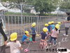 ドングリの木を見つけたよ！「明日てんきになぁれ♡【交野市・小規模保育園】」