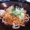 冷やしたぬきそば・うどん