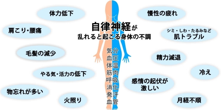 自律神経が乱れると　太りやすくなります。「これまでと同じ量を食べていたら太る　年代【女性専用24Hアワード八王子＆セルフエステ＆サウナ】」