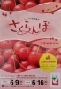 「《さくらんぼ🍒》産地直送ギフトのお申し込みが始まりました❗」
