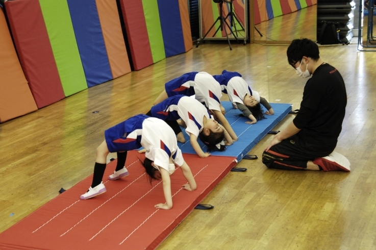 マット、鉄棒など、色々やります！「体操スクール無料体験【京都市南区・京都テルサ・ジム・プール・こども・駐車場完備】」
