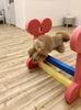 ジャンプ名わんこのハッピーちゃん「ましゅまろ幼稚園　^ - ^」