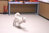 「今日のお友達」