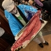 【親光のエントランス】マグロ解体ショーの様子⑤「【イベントで彩る日々】特別養護老人ホームの素敵な時間　」