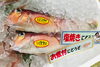 「魚魚市場鮮魚コーナーおすすめは「マングローブガニ・トビウオ」です♪」