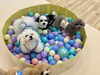順番守ってボールプールへ「ましゅまろ幼稚園🐾」