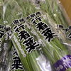 「ギョギョギョ！！ 今年も出荷が始まったよー✨ 岩手県産　「行者菜(ぎょうじゃな)」」