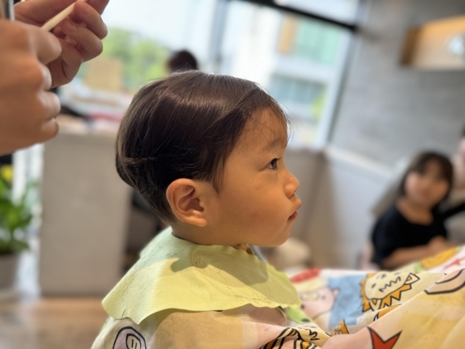 「2歳の男の子　First hair cut」