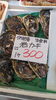 「岩牡蠣始まりました」