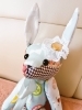 「✨️７月予定✨️」