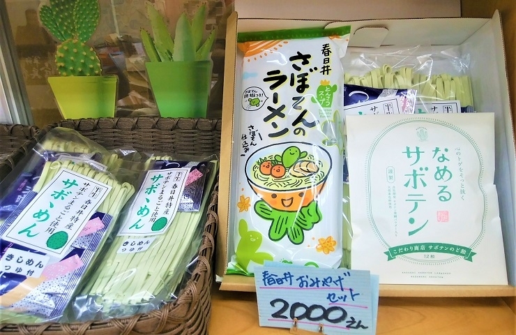 食用サボテンの研究 開発を行うラボと サボテン関連商品を扱うアンテナショップ 春日井さぼてん ラボ ショップ こだわり商店 縁起のよい かちがわ 勝川大弘法さまのまち 勝川駅前通商店街 まいぷれ 春日井市 食用サボテンの研究 開発を行うラボと サボテン関連商品を扱うアンテナショップ 春日井さぼてん ラボ ショップ こだわり商店 縁起のよい かちがわ 勝川大弘法さまのまち 勝川駅前通商店街 まいぷれ 春日井市