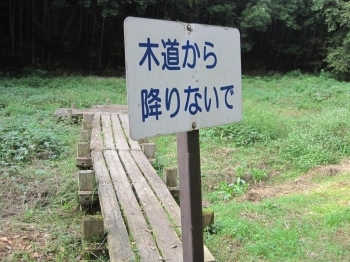 道沿いには、池か湿地だったと思われる場所がいくつもあり、木の道ができている。