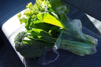 朝採り旬のお野菜も1袋￥100で販売していたので購入しました(*^-^*)<br>ブロッコリー・小松菜・サニーレタス<br>計￥300です。　安っ！