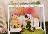 「Anniversary photo　」