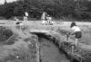 昭和30 50年代の海老川周辺 広報ふなばし平成28年 1月1日号 船橋今昔物語 まいぷれ 船橋市