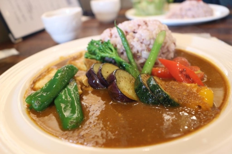 日向鶏と夏野菜のスパイシーカレー