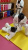「新年度に新しい事はじめてみませんか🥊【諏訪市｜キックボクシングジム｜習い事】」