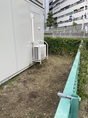 草刈り後「草刈り。横浜市磯子区、金沢区•植木、造園のご相談は庭一。」