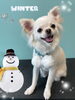 「お友達♡ Dog salon mofu mofu 余市町」