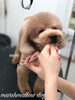 「冬のオプションキャンペーン　(^｡^)」