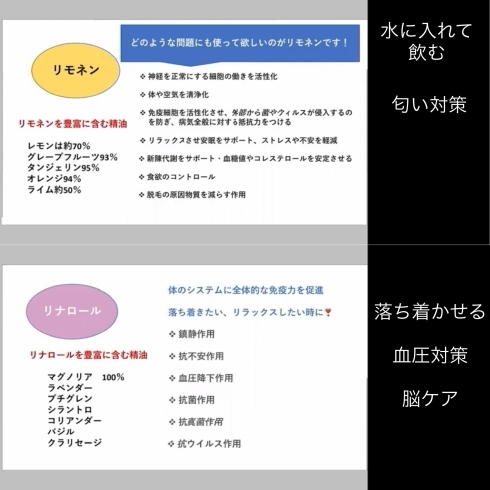 使い慣れると決して難しくはありません「震災対策にも！家庭の薬箱にもなるメディカルアロマ」