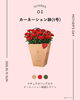 ナチュラルバッグ入りのカーネーション「【花小金井】5/10(日)💐母の日ギフトはお決まりですか？気軽に贈れるお花をご用意しています💐」