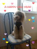 「A HAPPY NEW YEAR ヽ(^。^)ノ」