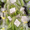 「採れたての新居浜産がずらり！色鮮やかな地元野菜を選ぶ楽しさあふれる青果売り場へ遊びに来ませんか？」