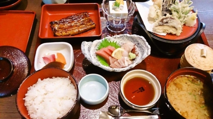 師走（しわす）膳　２８００円（税別）　鰻蒲焼・刺身・天ぷら・お新香・茶碗蒸し・デザート付き