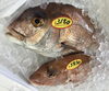 「魚魚市場鮮魚コーナーおすすめは「キンメダイ」です♪」