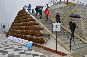 ここから見る景色は富士山と吊橋