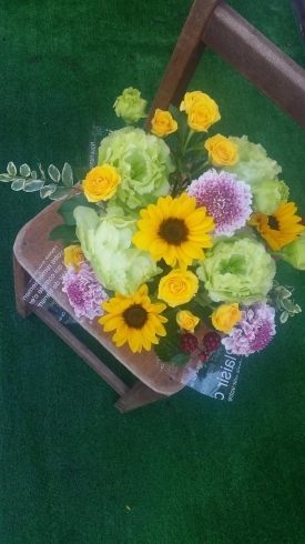 船橋市 まいぷれ