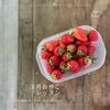 摘みたて苺「【終了】３月親子ひな祭りレッスンのご案内｜苺サンド＆ミモザ風リースサラダづくり」