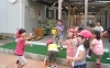 「行方市立北浦幼稚園」【 未来に輝くこどもを育む北浦幼稚園 】