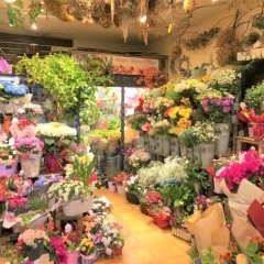 お花や観葉植物を買うならここ！　市川市でおススメの花屋まとめ