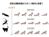 人間も動物です。進化の過程に同側動作が入ります。「「ナンバの動き」ってご存じですか？それは…。簡単に言うと手と足が同時に動く同側の動作です。」