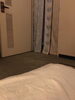 「こむぎ日記- ̗̀ 」