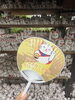 「豪徳寺のまねき猫とコラボ？まねきねこ治療院のご縁スポット紹介🐱✨」